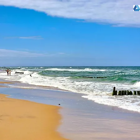 365pam - W Gaskach * Gąski