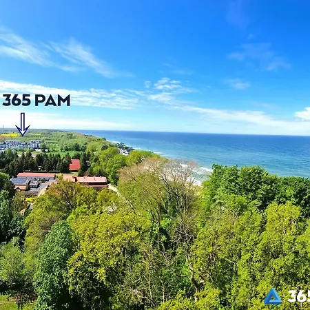 365pam - W Gaskach * Gąski