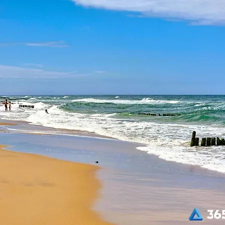 365pam - W Gaskach *