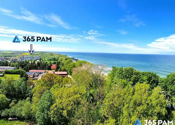 365pam - W Gaskach * Gąski