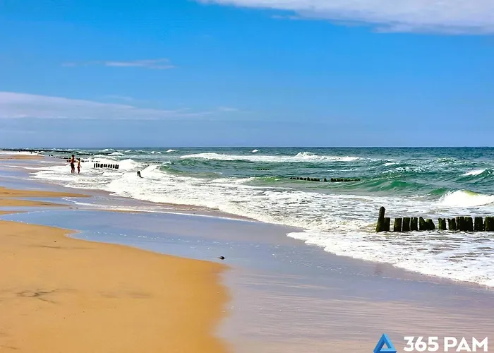 365pam - W Gaskach *