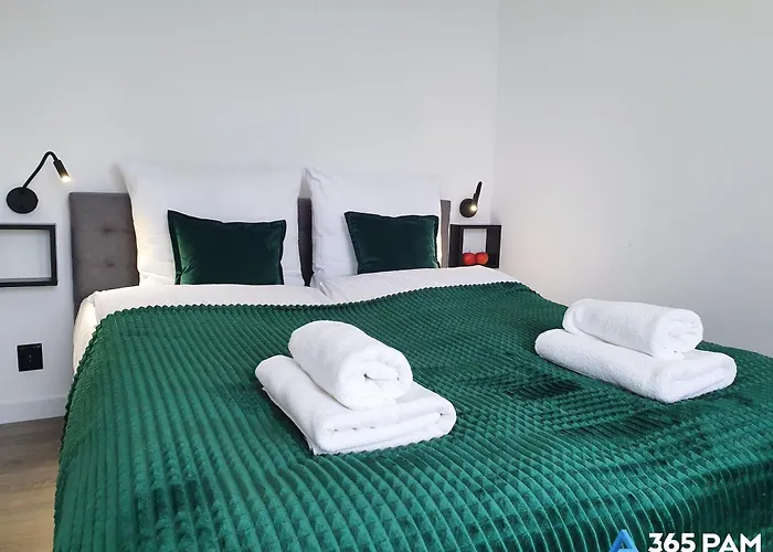 365pam - W Gaskach *